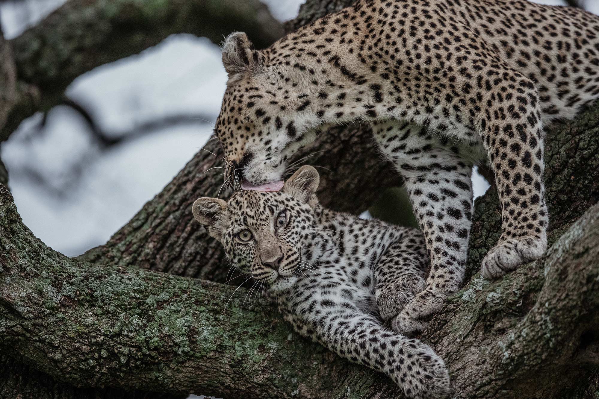 Serengeti National Park