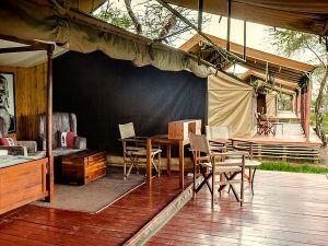 serengeti-camp-top-1