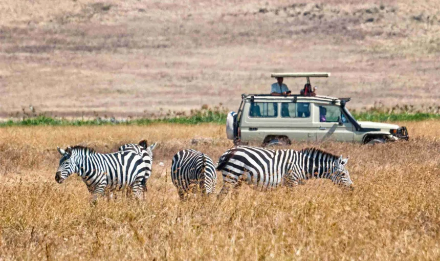 Welcome to Kuzurura Safaris and Arts