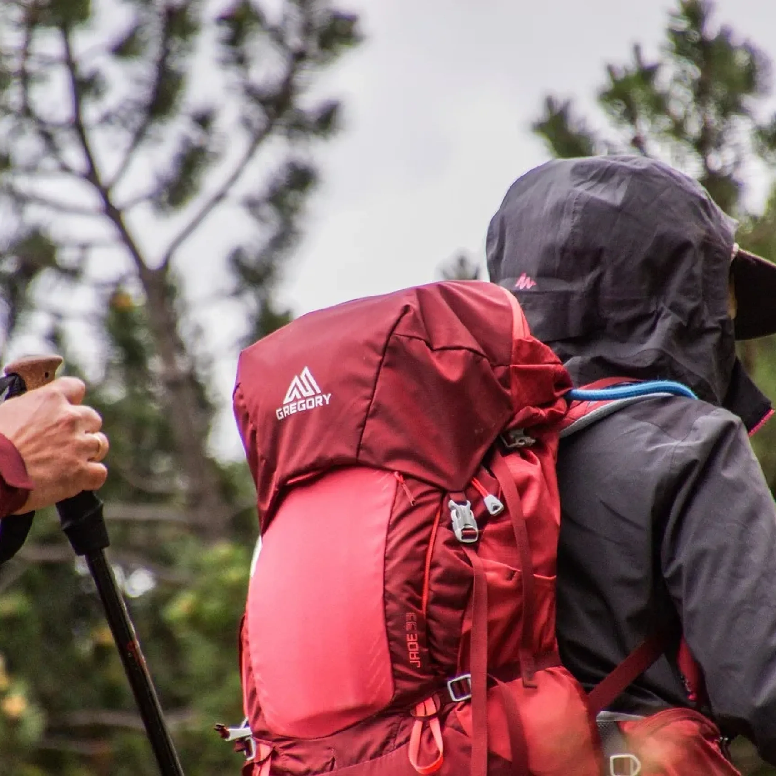 hikers