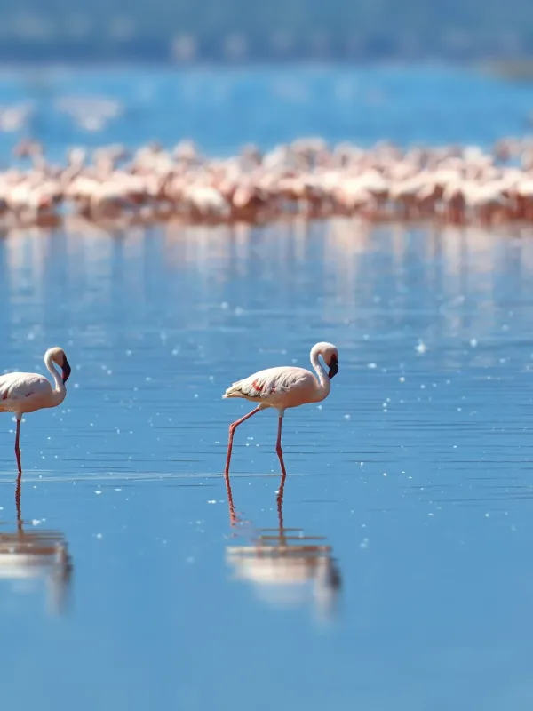 lake-manyara-scaled.jpg